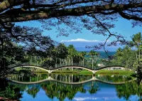 Hilo Studio Retreat with Gorgeous Park View, AC, WiFi, Pool