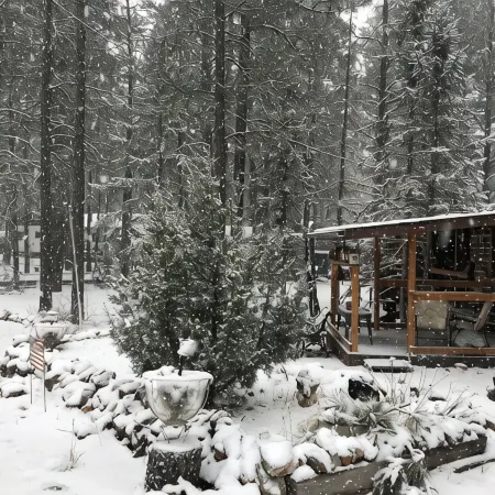 Cabin in The Pines.. Available 240v Tesla and EV charging.