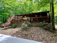 Cozy cabin getaway close to hiking, skiing, sightseeing, and Bristol! - Hytter