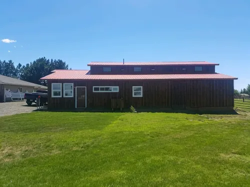 Horsing Around In The Barn (Pet friendly)