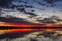 Lake Bonney Views - Cabin Retreat - Wifi
