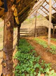 Mount Mahabharat Homestay