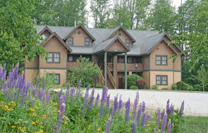 Beautiful Condominium at Castle Hill Resort, 10 Minutes from Okemo Ski Resort