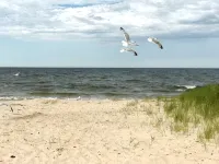 Mi-Pet-Friendly Home Near Beach with Spacious Private Backyard, Dog Friendly - Wifi