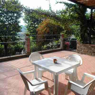 Apartment/ flat - Orvieto Others