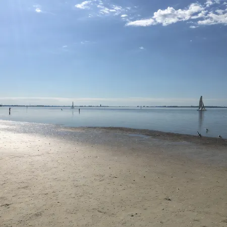Ozona Guesthouse! 3 Blocks to Pinellas Trail, Brewery, Eats, & Dog Friendly!