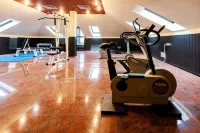 Hotel Excelsior Magenta - Gym