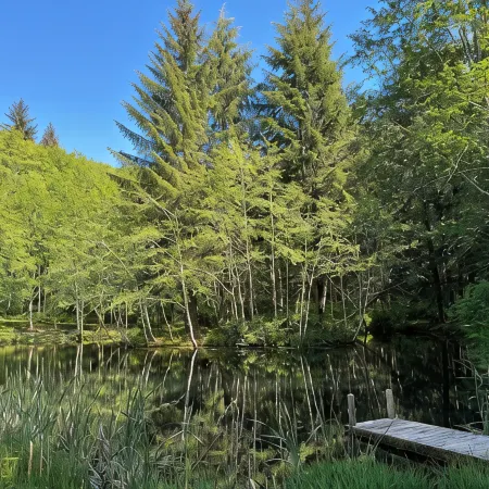 Lower Twin Cabin - 34 beautiful private acres of forest, meadows and riverfront.