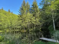 Lower Twin Cabin - 34 beautiful private acres of forest, meadows and riverfront.