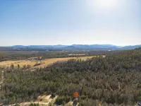 Pointers Den-Fireplace, Arcade, 2 Primary Suites - Chalets