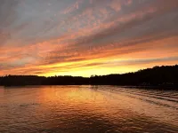 Crooked Lake Cabin - Homestays