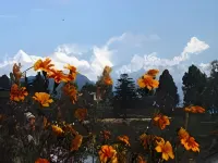 Ojaswi Resort