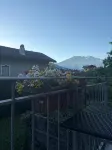 Movisod 66 - Aosta - Bergblick