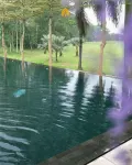 Djoglo Luxury Bungalow - Pools