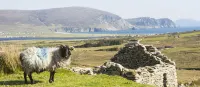 Achill Cliff House Hotel & Restaurant - 3-Star