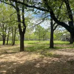 The Beulah Jane is a peaceful cabin on working farm in Glen Rose. - 3-Star