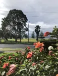 1 Commodore Batehaven Premium Beachfront Bliss - Pools
