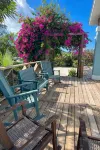 Luxurious 5000 sqft SilverPalmsVilla Private Heated Pool/Spa/ocean gazebo/kayaks - Homestays
