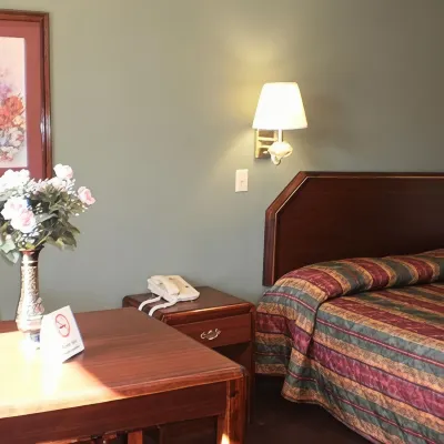 Executive Inn & Suites - Covington - Wifi