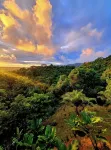 Gorgeous Sunsets at Casa Arbol DelMar - 3つ星