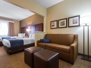 Comfort Suites Rochester Henrietta University Area