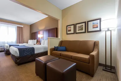 Comfort Suites Rochester Henrietta University Area