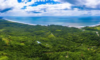 a bird 's eye view of a lush green forested area with a beach in the distance at Boutique Hotel Luna Azul