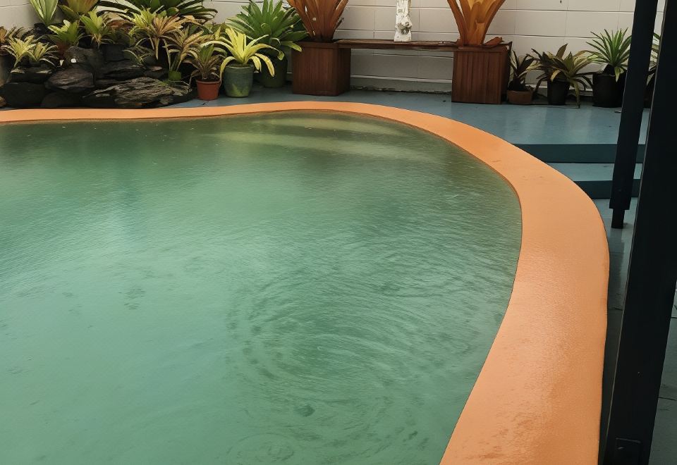 a large , empty swimming pool with green water and orange border is surrounded by plants at Black Marlin Motel