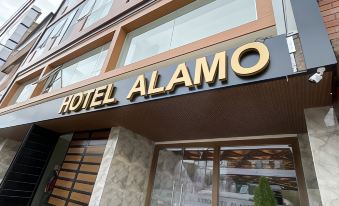 Hotel El Alamo Ejecutivo & Spa