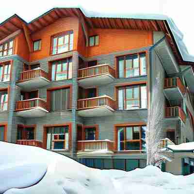 Apartamentos Solineu Hotel Exterior