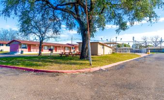 OYO Hotel Beeville -US 181