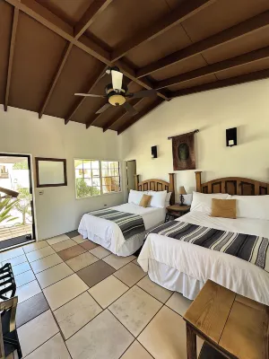 Casa Luna Viñedo Hotels in Guadalupe