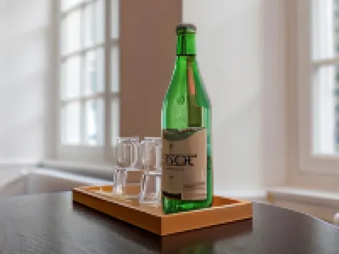 Baseltor Hotel & Restaurant Hoteles en Soleura