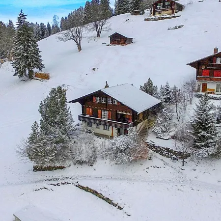 Jungfrau a D Ledi