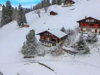 Jungfrau a D Ledi - 小木屋