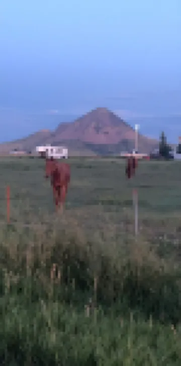 Sturgis Motorcycle Rally Vacation Rental