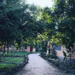 Gecko Nature Lodge Home of Swahili Divers the Best Dive Center and Famous Gecko Restaurant Hotels in 