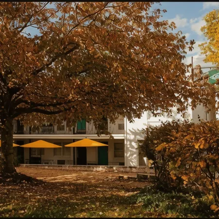 Little Mod Hotel at the University