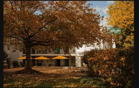 Little Mod Hotel at the University