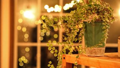 その他 ボンマリアージュ　花の森 クラリスの写真