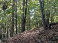 The 100 Acker Woods located in the Appalachian mountains 디컨슨 카운티 호텔