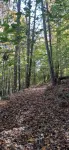 The 100 Acker Woods located in the Appalachian mountains Hotels in Dickenson County