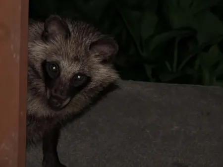 Pension Jikyujisoku Отели рядом с достопримечательностью «Nariai-ji Temple»