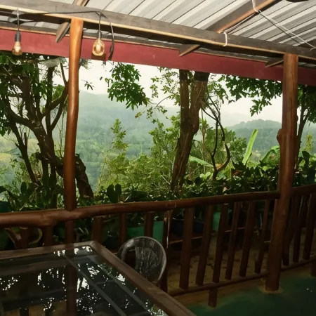 Bliss In Viya