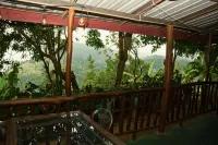 Bliss In Viya Hotels in 