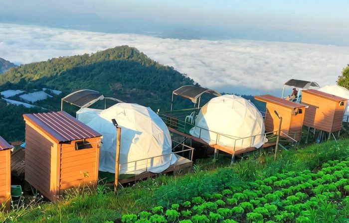 Himdoi Camping