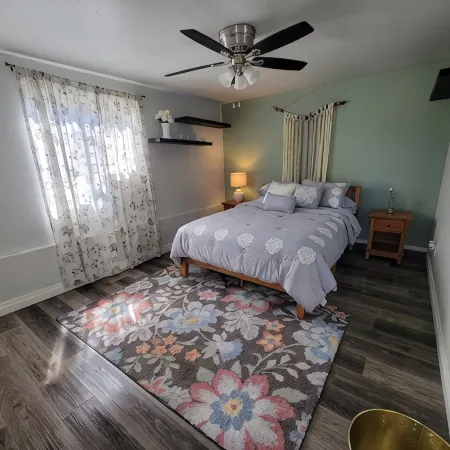 Spacious Home Away from Home AND guest house