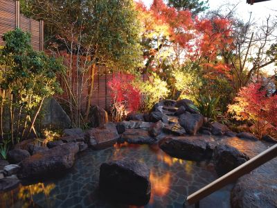 スパ・大浴場 鶴巻温泉 元湯陣屋の写真