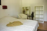 Countryside house located in an olive grove, very quiet, wonderful scenery