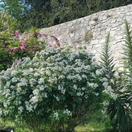 Gîte Cosy et Calme, Avec spa et Jardin, au Cœur de Morlaix